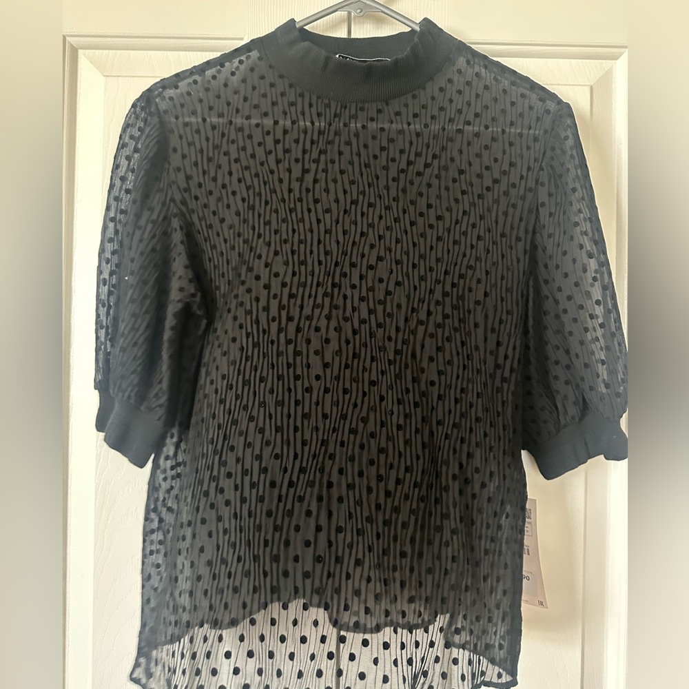 Zara Black Sheer Polka Dot Blouse